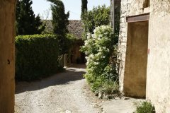 Jardins-7